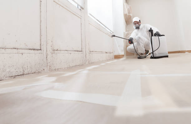 24/7 Emergency Mold Removal experts in Lewisburg, TN